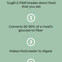 SugR-2-FibR - 500 mg - 60 capsules